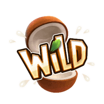 Jungle Delight - wild