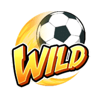 Shaolin Soccer - wild