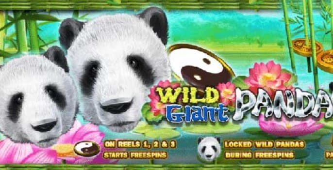 pg_slot-Wild-Giant-Panda