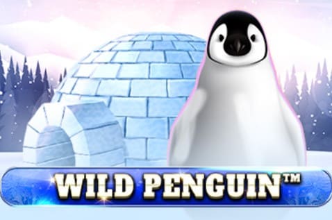 PGSLOT-Wild Penguin